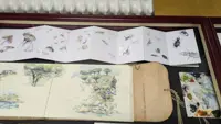 Mostra Dettaglio 2