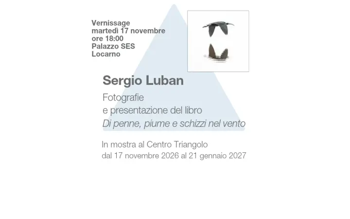 2026 Mostra Carousel Vernissage.png